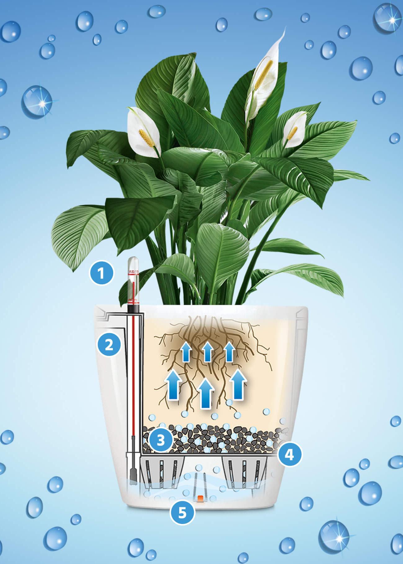 le_sub-irrigation-system le_sub-irrigation-system