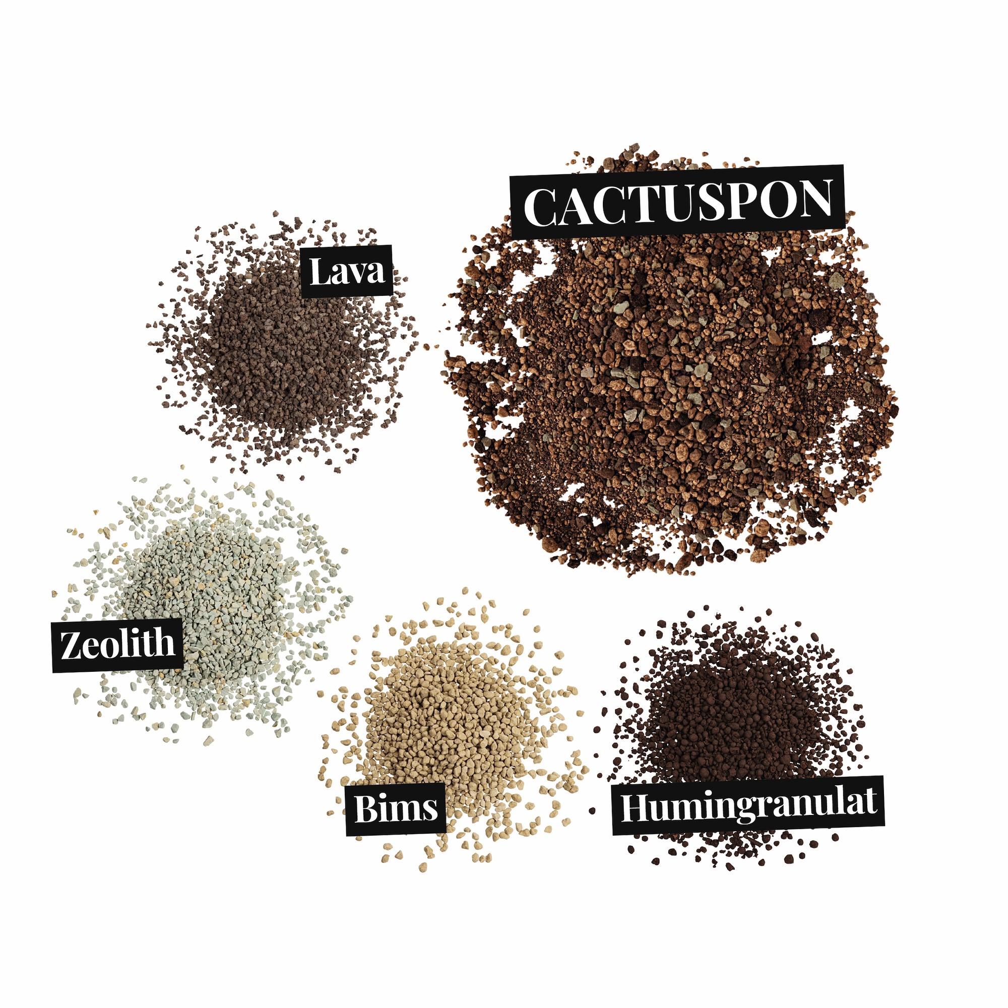 le_substratbestandteile_cactuspon_de