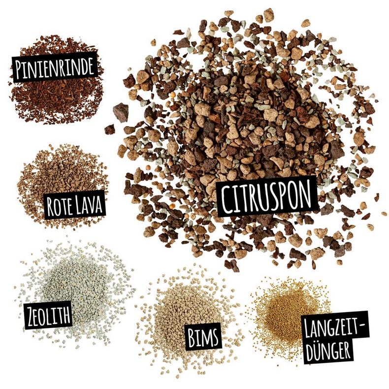 le_substratbestandteile_citruspon_de