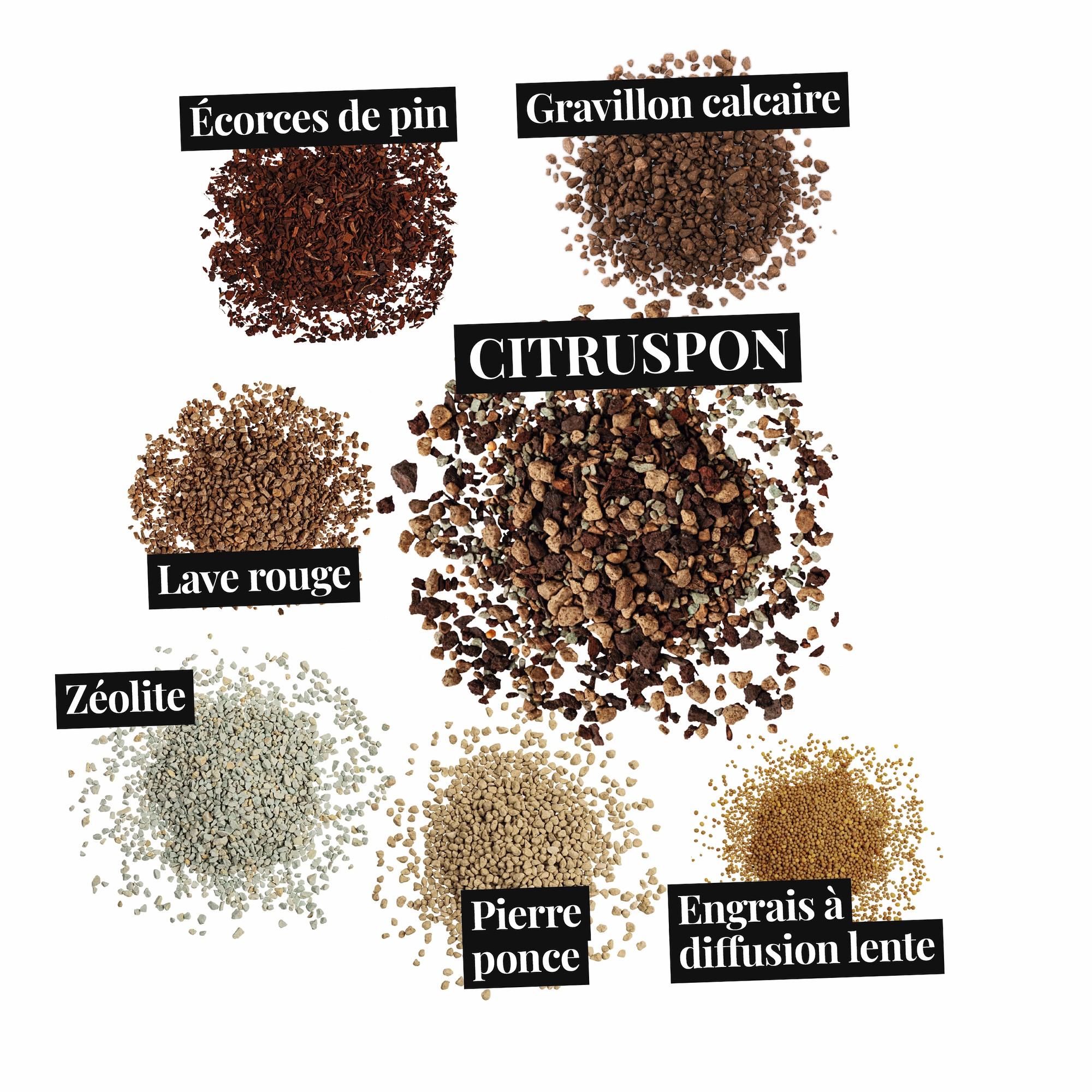 le_substratbestandteile_citruspon_fr