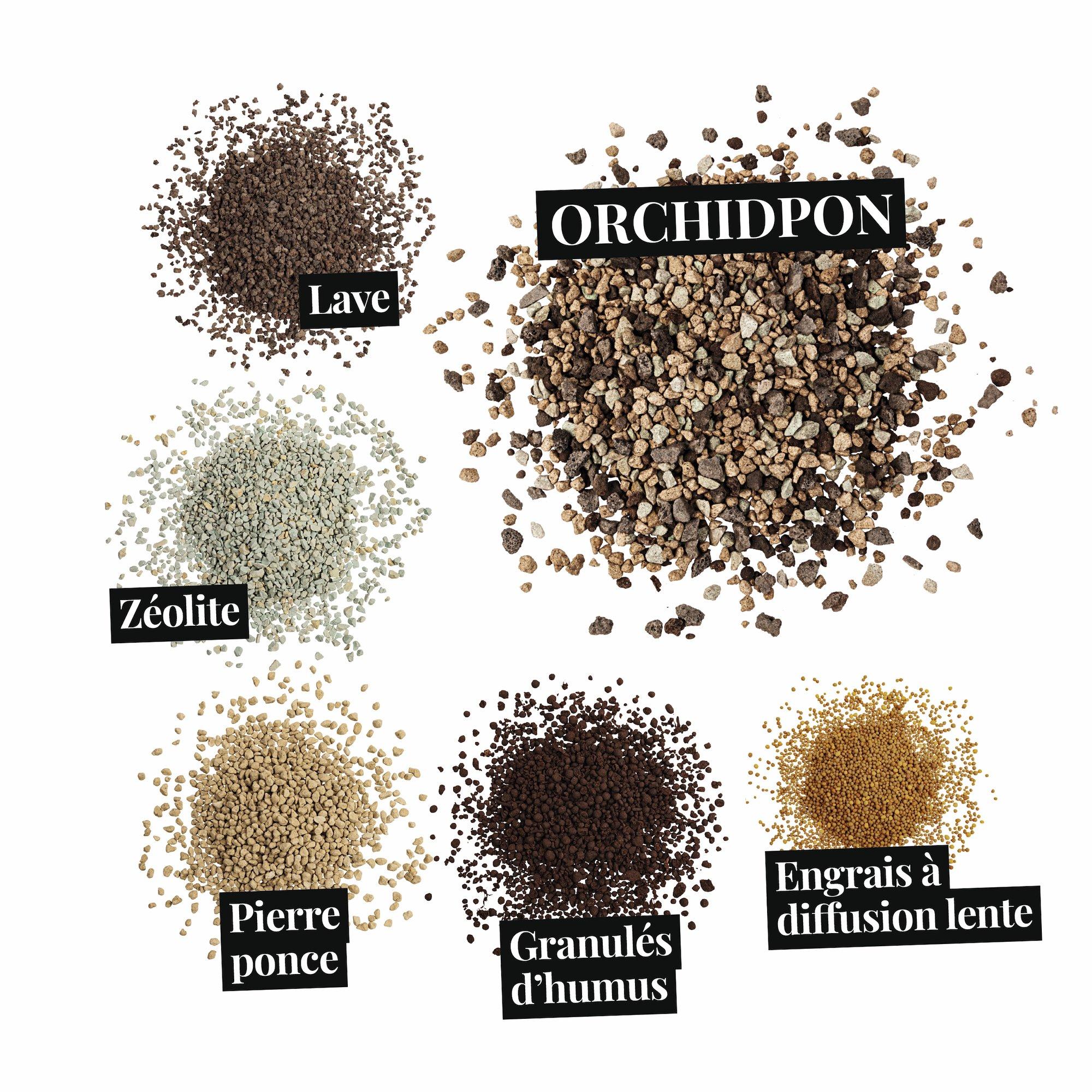 le_substratbestandteile_orchidpon_fr