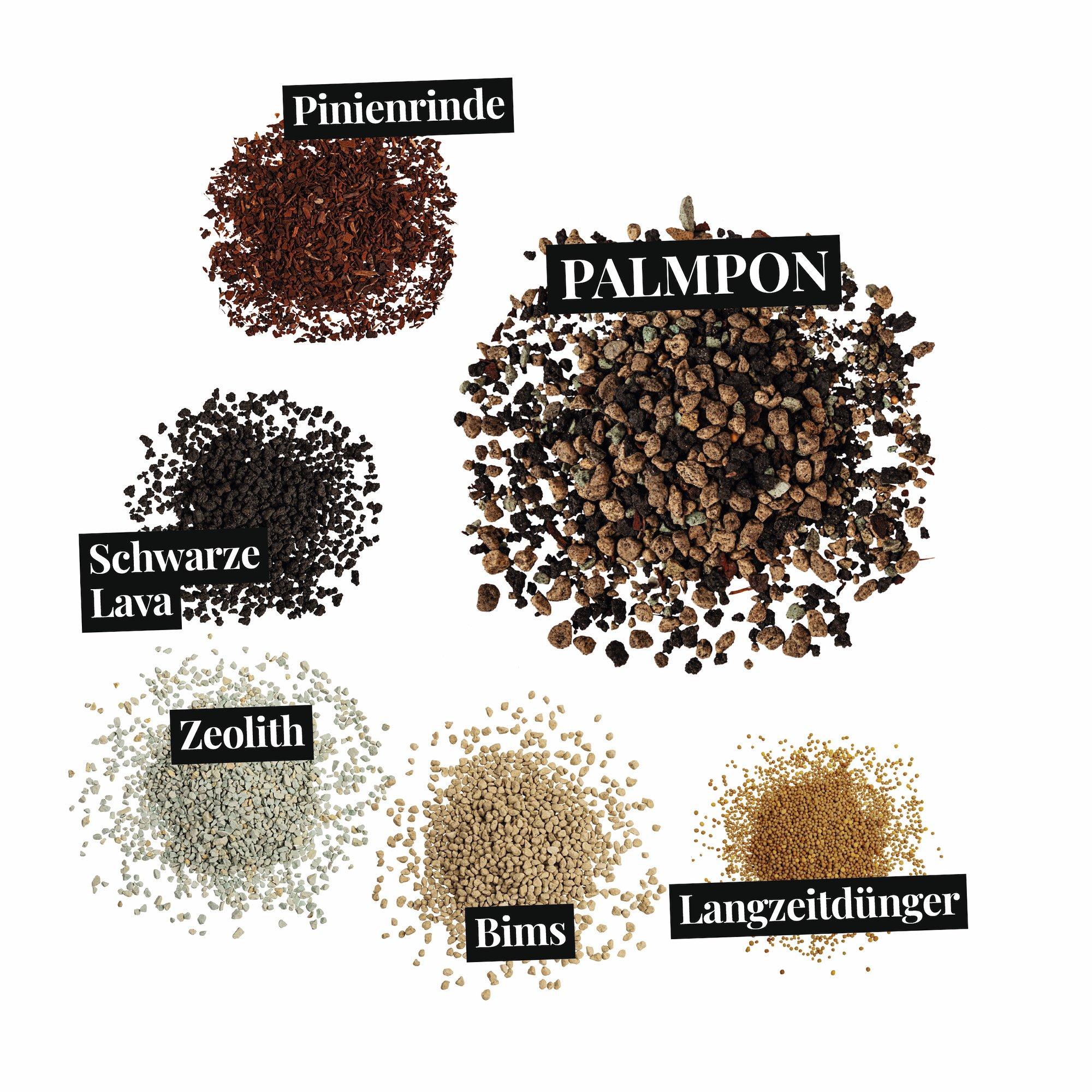 le_substratbestandteile_palmpon_de
