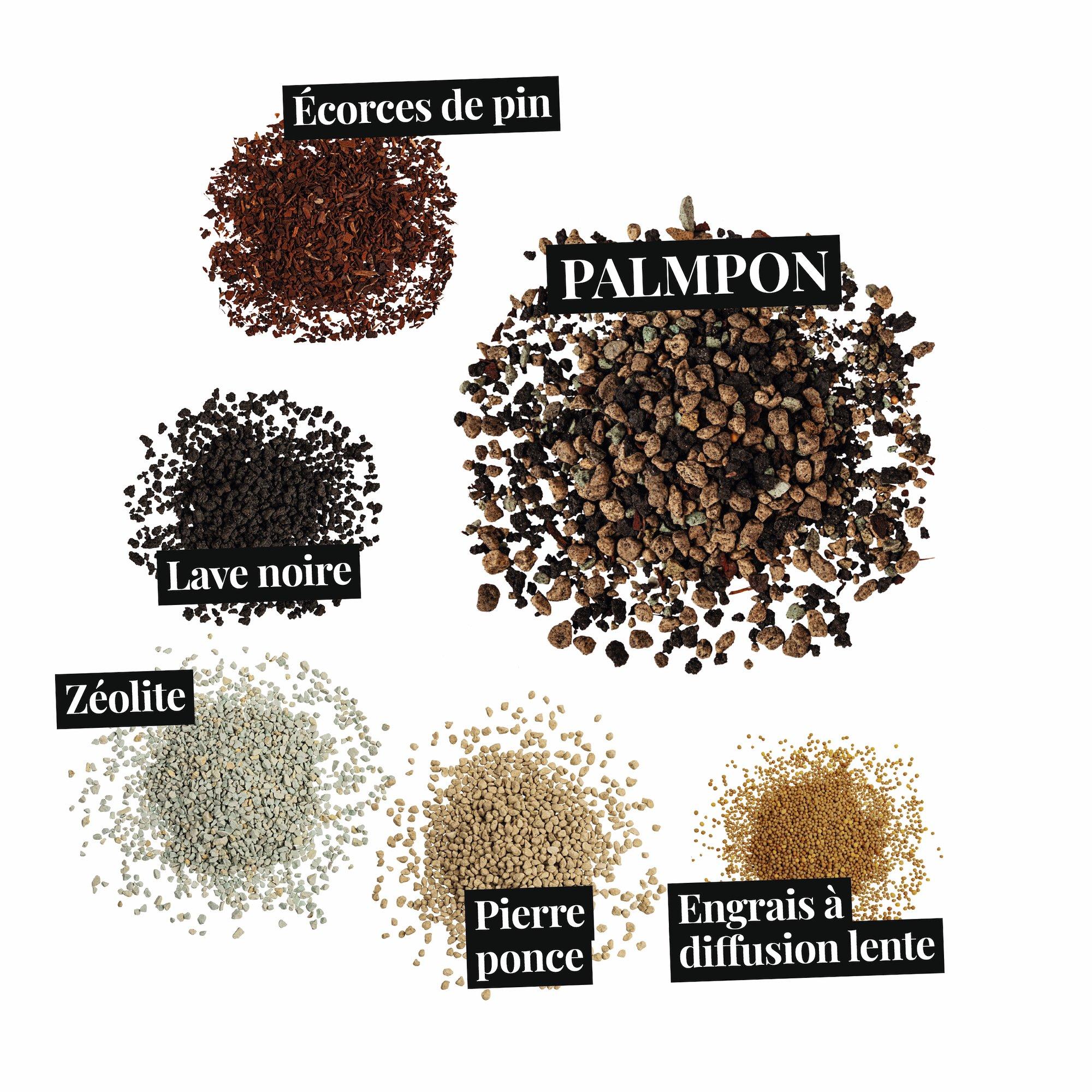 le_substratbestandteile_palmpon_fr