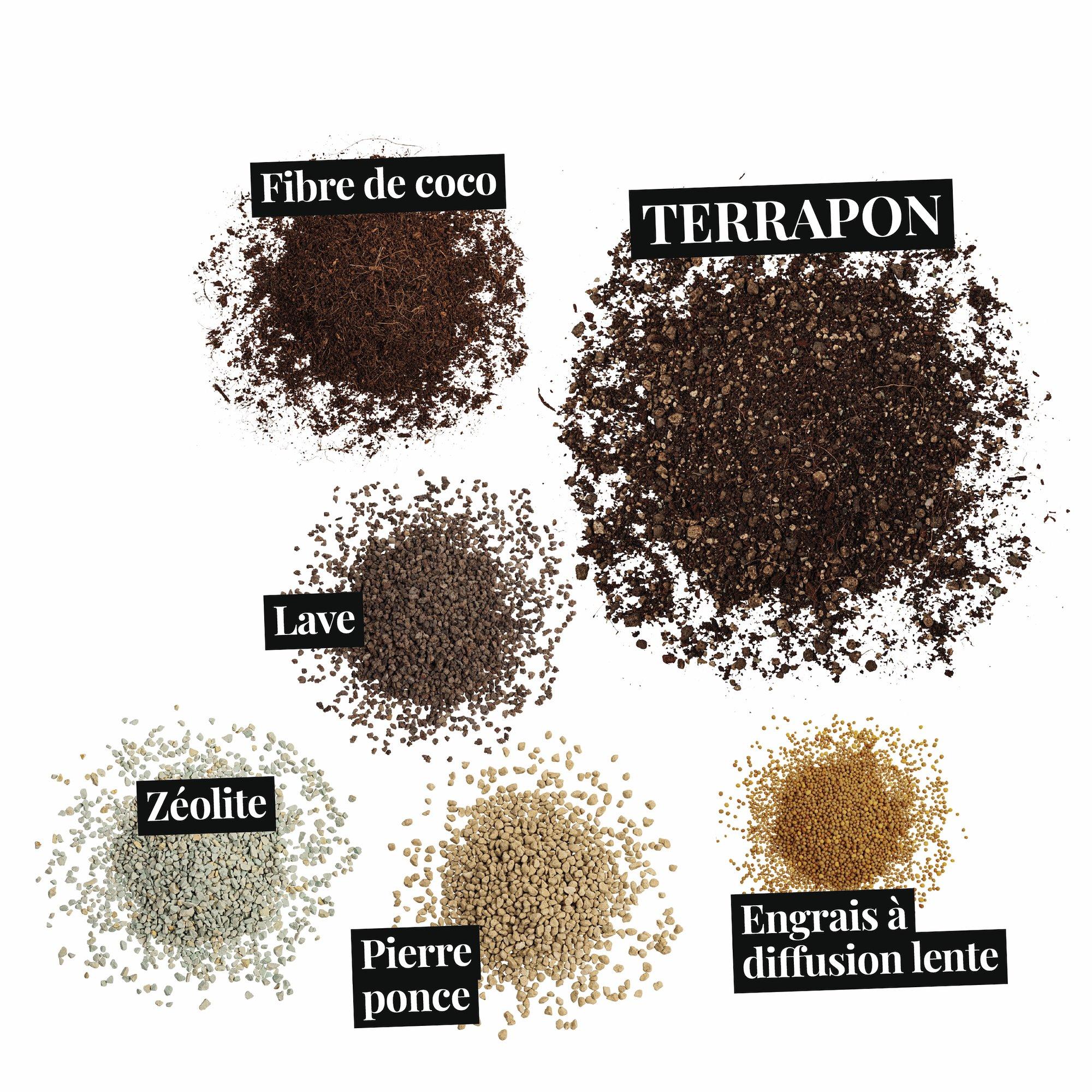 le_substratbestandteile_terrapon_fr