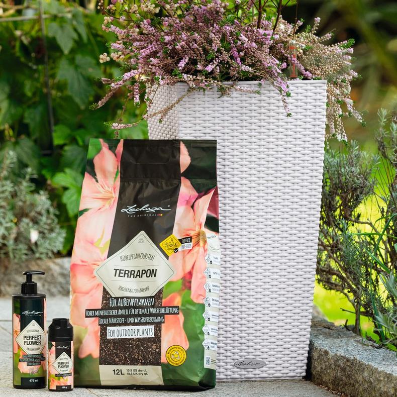 le_terrapon_product_addi_01