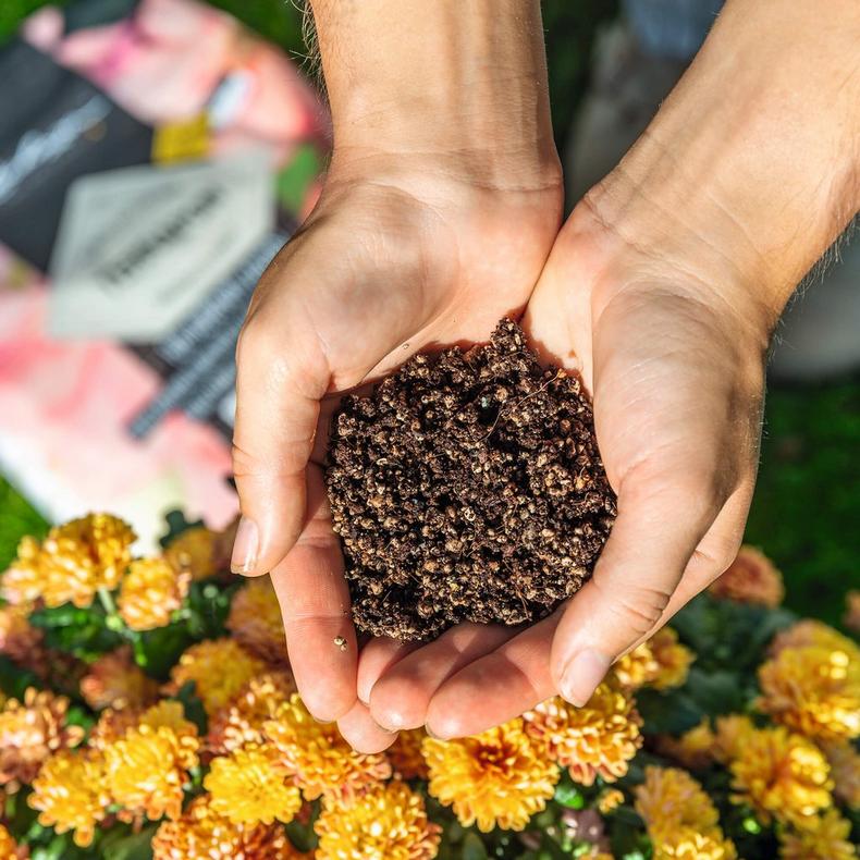 le_terrapon_product_addi_02