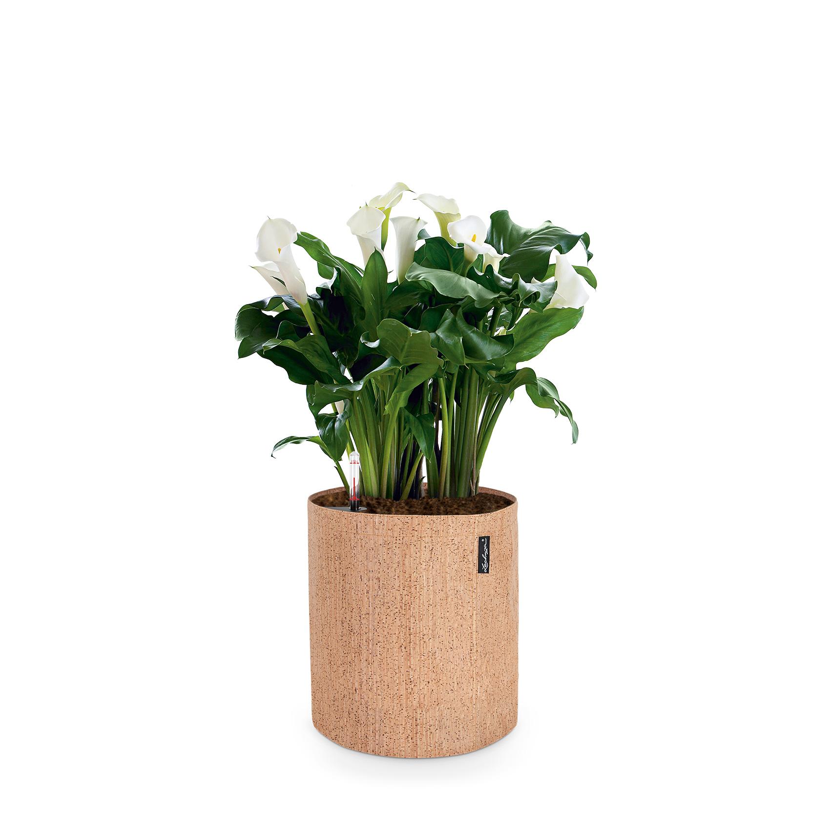 TRENDCOVER Cork