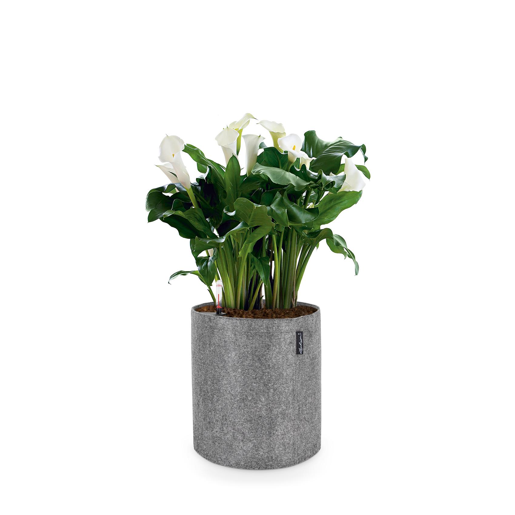 TRENDCOVER 32 Feutre gris fonc&eacute;