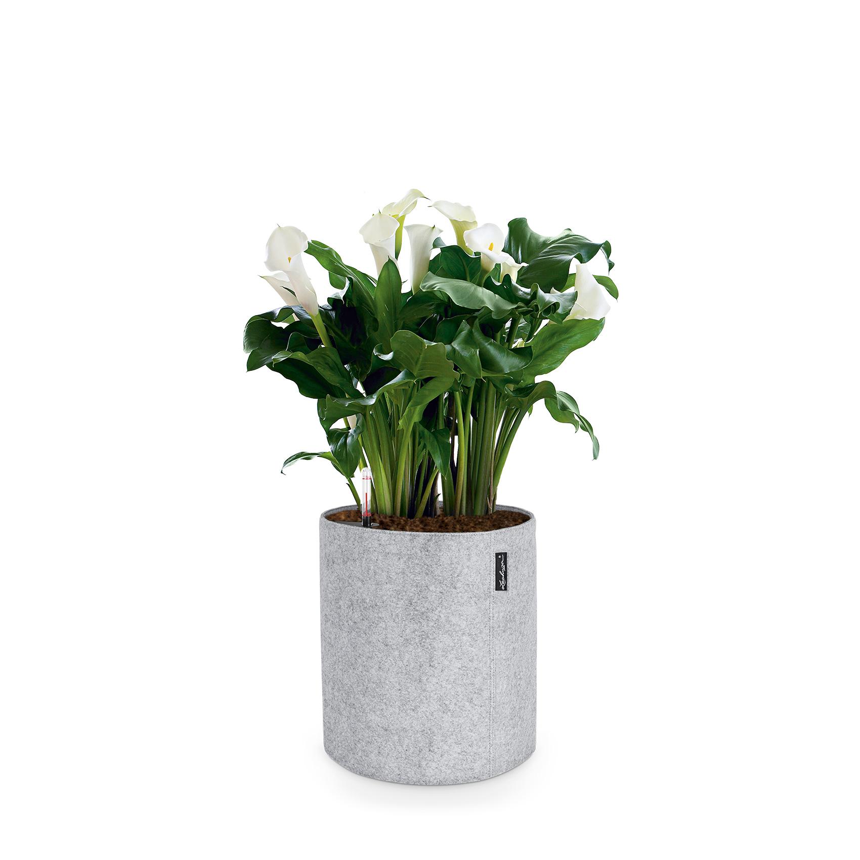 TRENDCOVER 32 Felt light grey