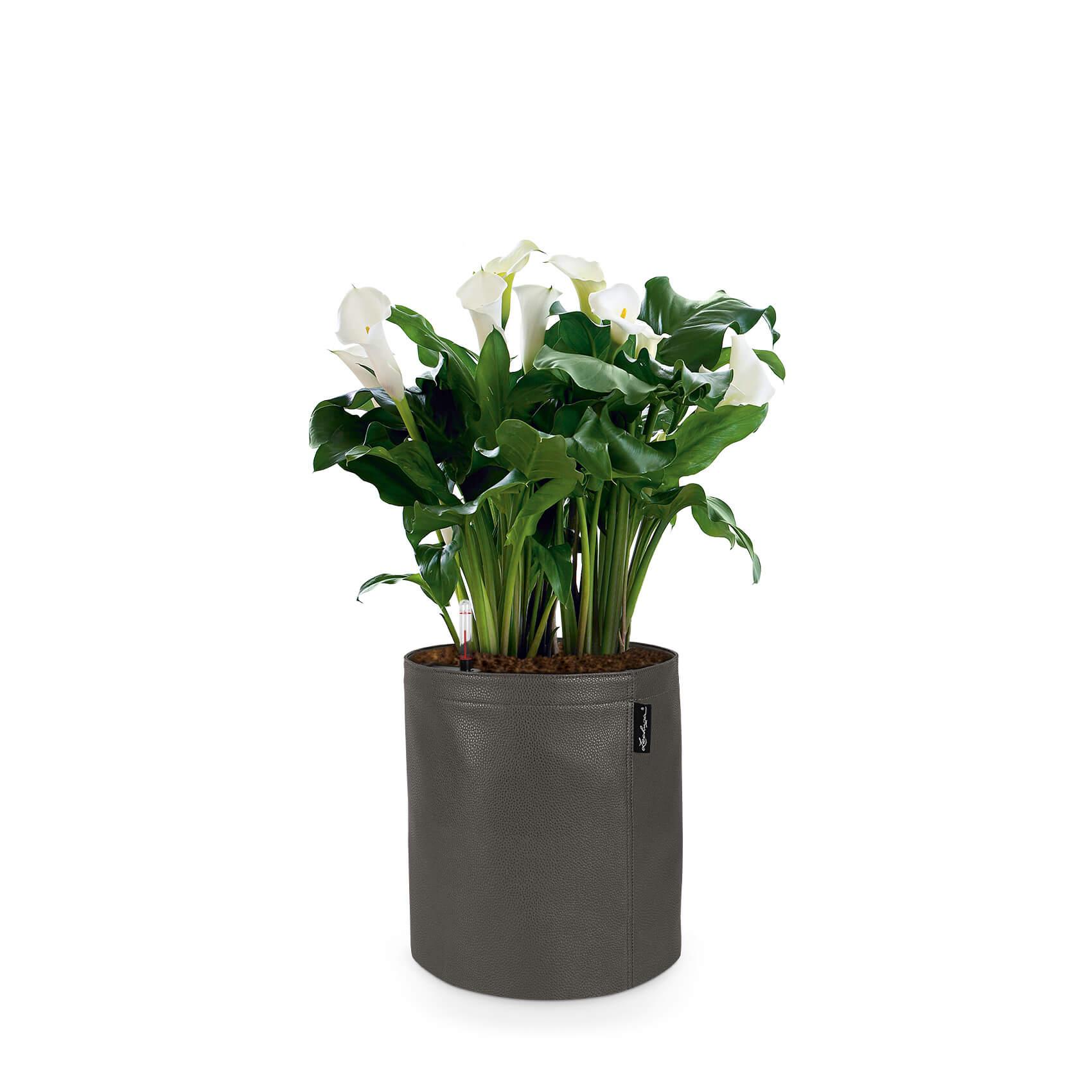 TRENDCOVER 23 anthracite
