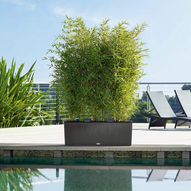 le_trio-cottage30_product_addi_01