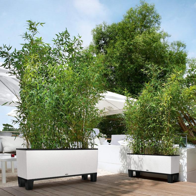 le_trio-cottage_product_addi_01