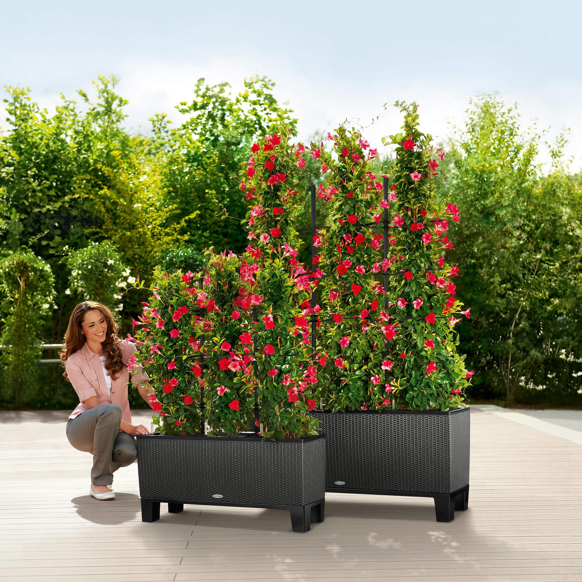 le_trio-cottage_product_addi_02
