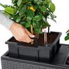Auf welche Punkte Sie vor dem Kauf der Pflanzkübel 70 cm achten sollten