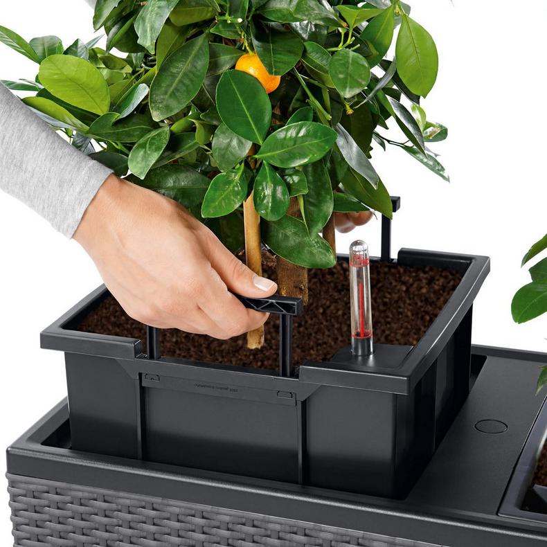 le_trio-cottage_product_addi_liner