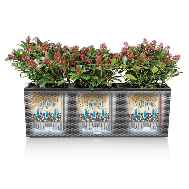 le_trio-cottage_product_addi_sws