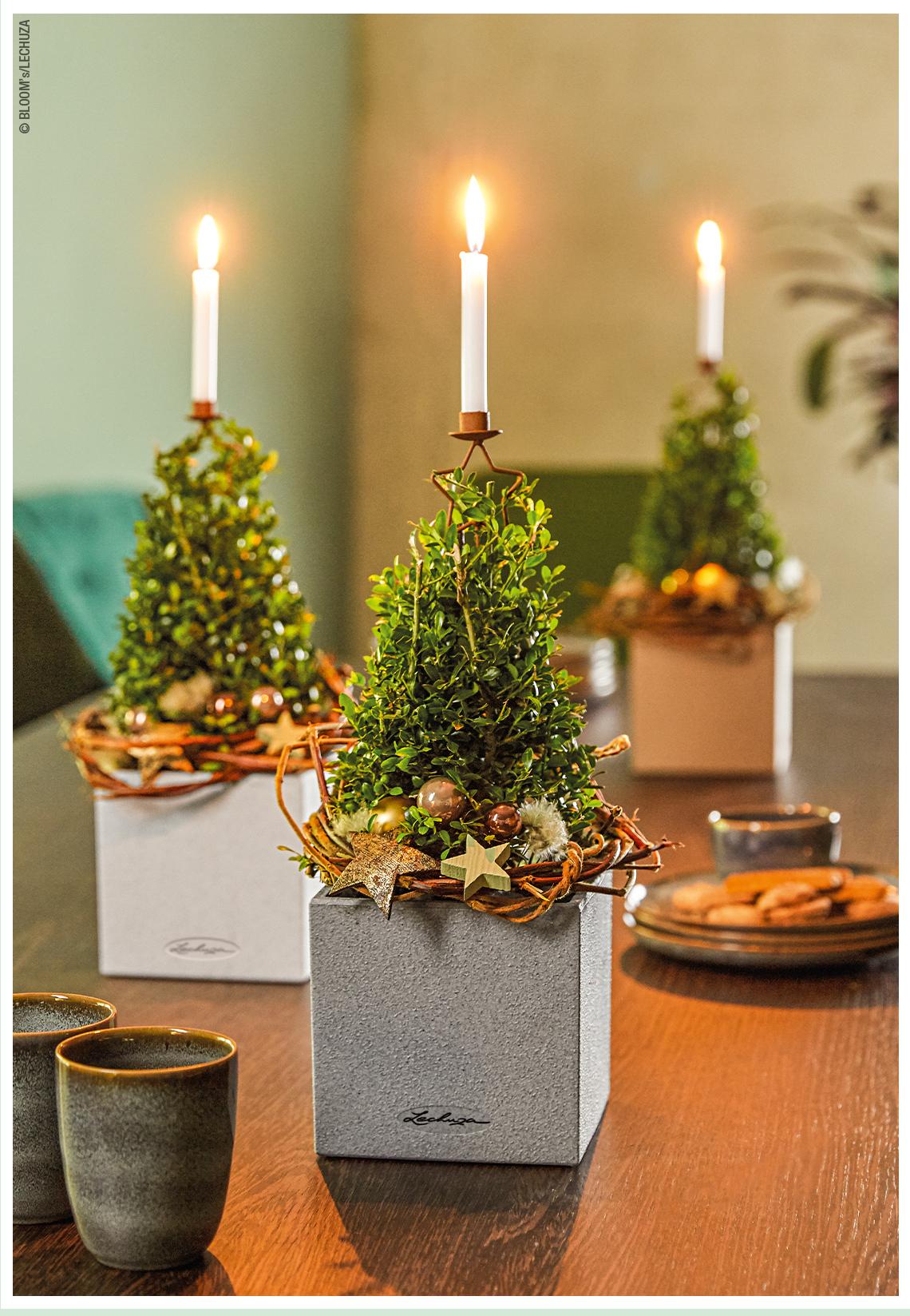 Advent decoration in CANTO Stone 14 with candle and fir tree