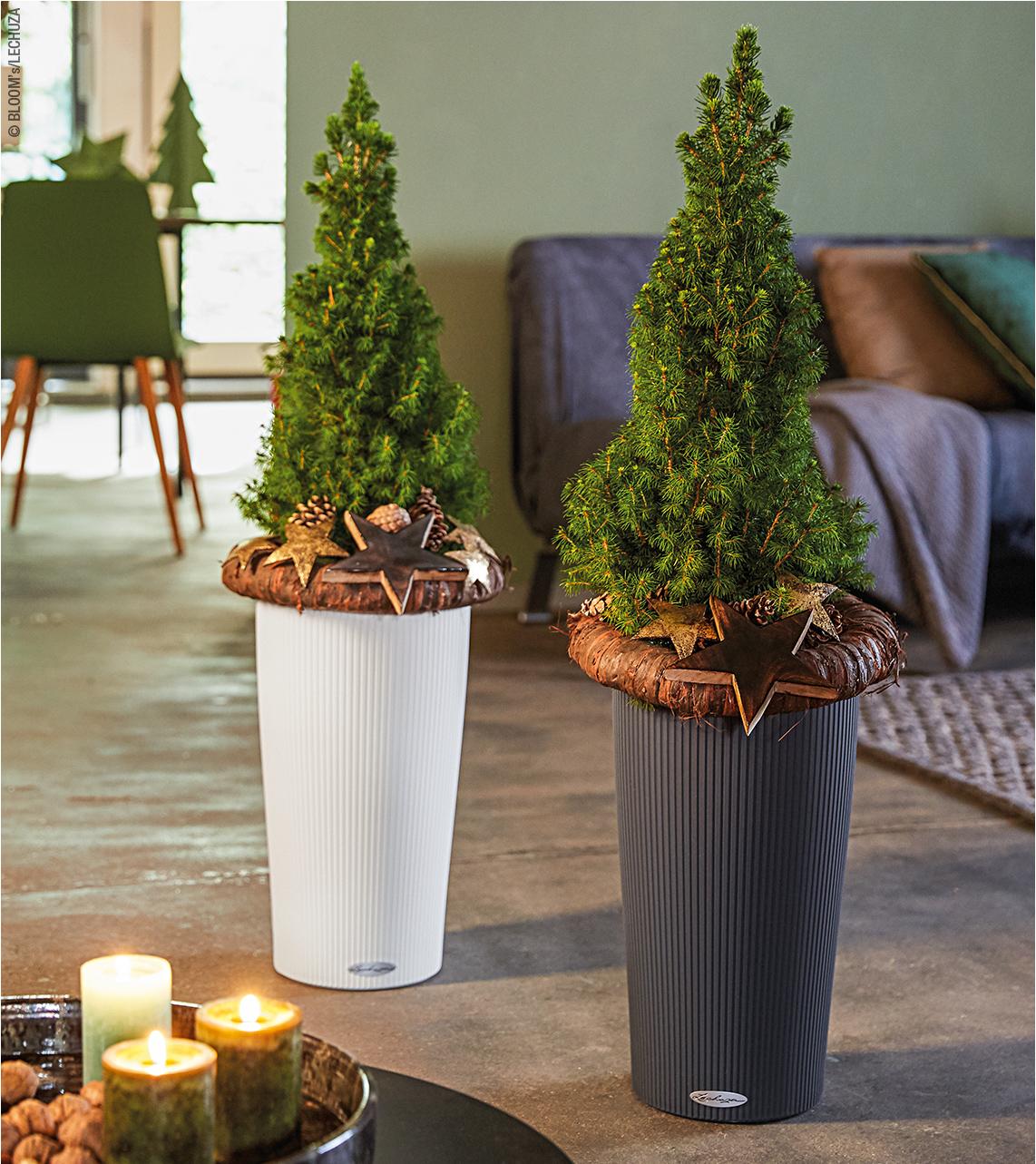 'CILINDRO Color in wei&szlig; und schiefergrau