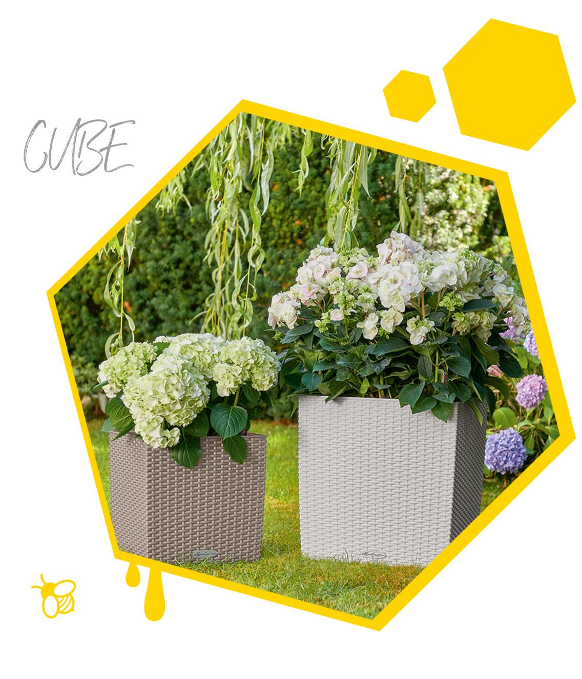 'Zwei bepflanzten CUBEs von LECHUZA