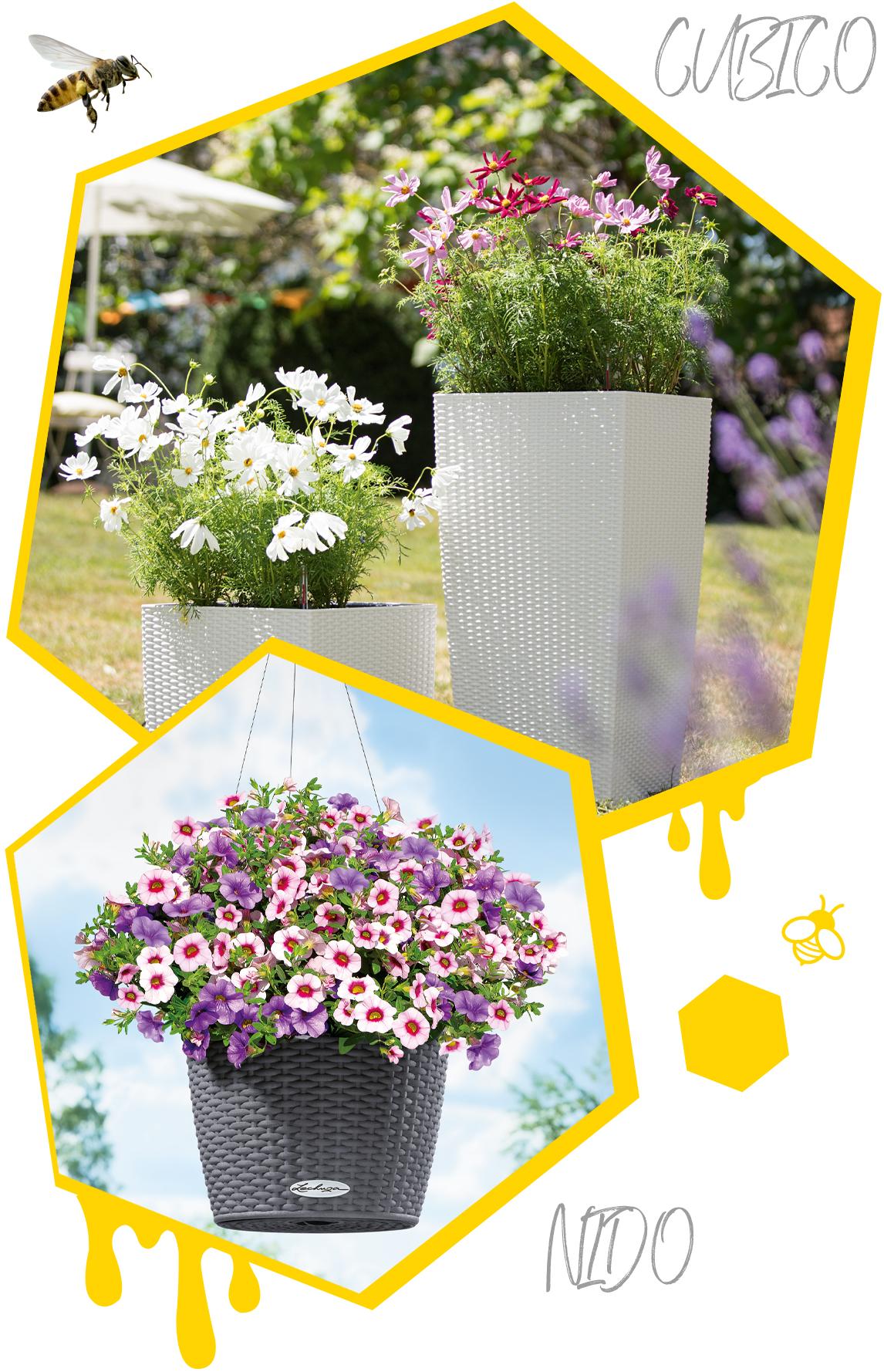Deux alv&eacute;oles avec des pots de la gamme COTTAGE plant&eacute;s de fleurs d'&eacute;t&eacute;.