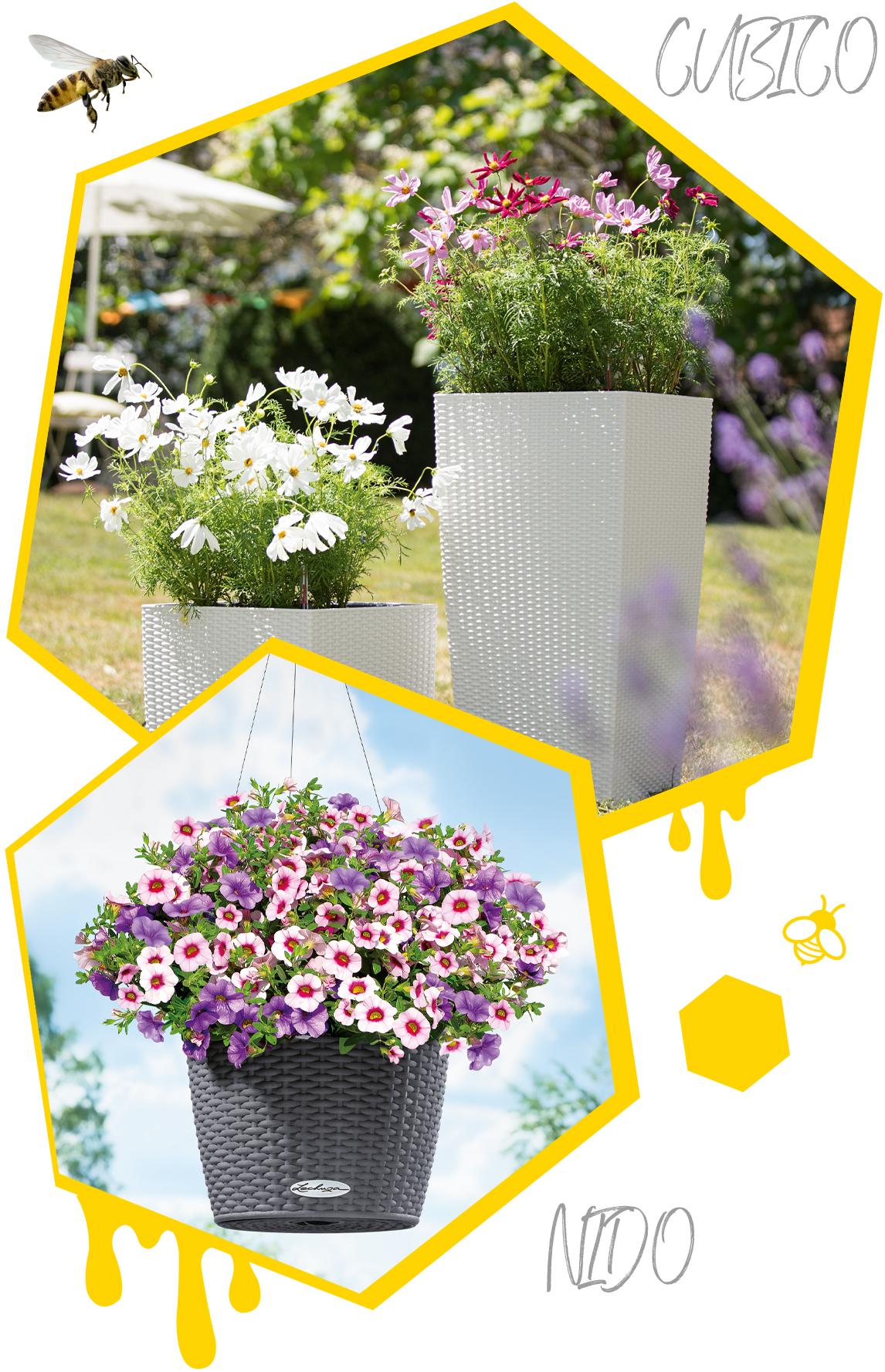 Deux alvéoles avec des pots de la gamme COTTAGE plantés de fleurs d'été.