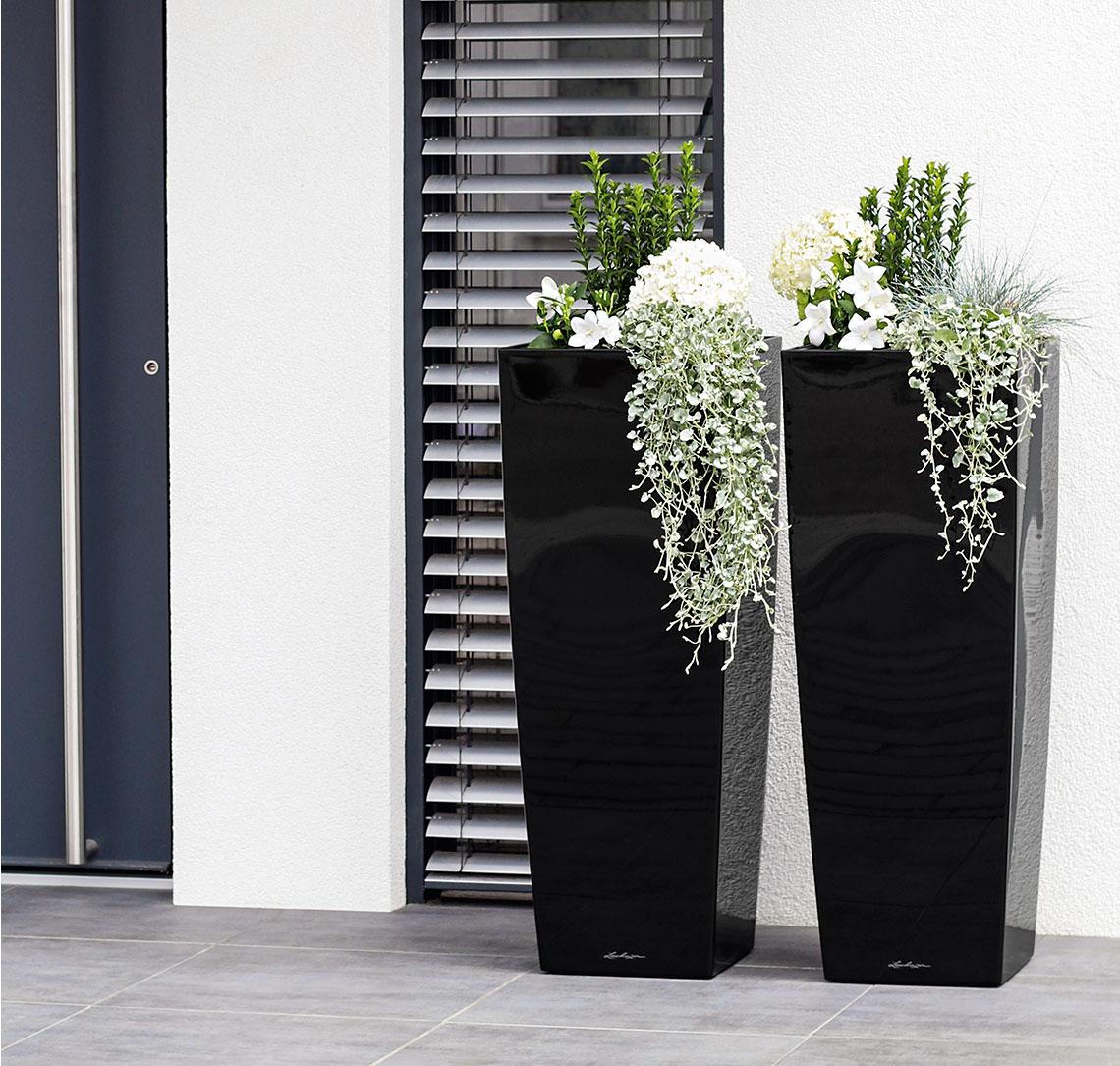 &Delta;ύ&omicron; high gloss &mu;&alpha;ύ&rho;&epsilon;&sigmaf; CUBICO Alto &mu;&epsilon; &lambda;&epsilon;&upsilon;&kappa;ά &lambda;&omicron;&upsilon;&lambda;&omicron;ύ&delta;&iota;&alpha; &mu;&pi;&rho;&omicron;&sigma;&tau;ά &sigma;&tau;&eta;&nu; &epsilon;ί&sigma;&omicron;&delta;&omicron; &epsilon;&nu;ό&sigmaf; &mu;&omicron;&nu;&tau;έ&rho;&nu;&omicron;&upsilon; &sigma;&pi;&iota;&tau;&iota;&omicron;ύ.