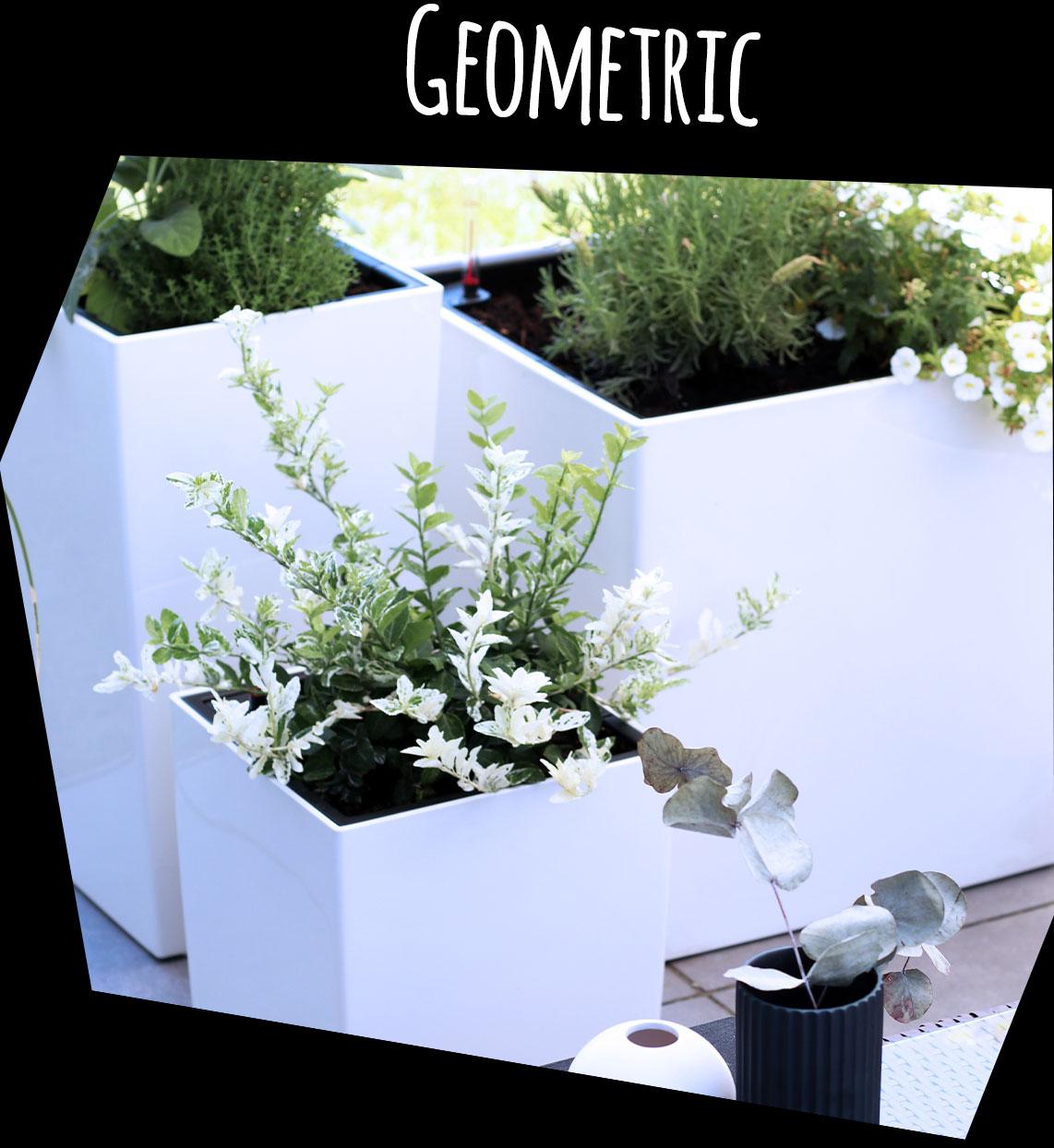 2 ά&sigma;&pi;&rho;&epsilon;&sigmaf; CUBE Premium &kappa;&alpha;&iota; &mu;ί&alpha; CUBICO Premium