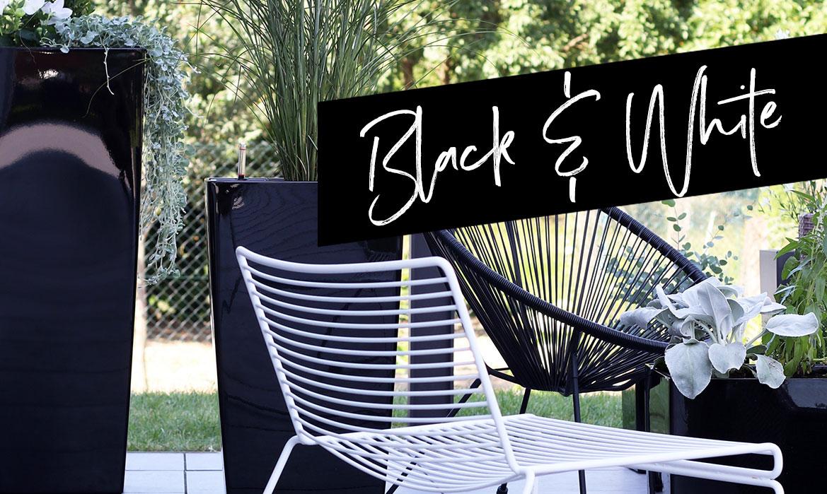 Schwarzes Hochglanz-Pflanzgefäß auf einer Terrasse mit schwarzen und weißen Stahlrohrmöbeln.