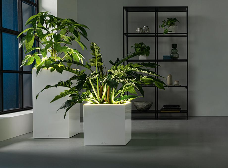 Urban Gardening - Pflanzen auf Balkon &amp; Terrasse