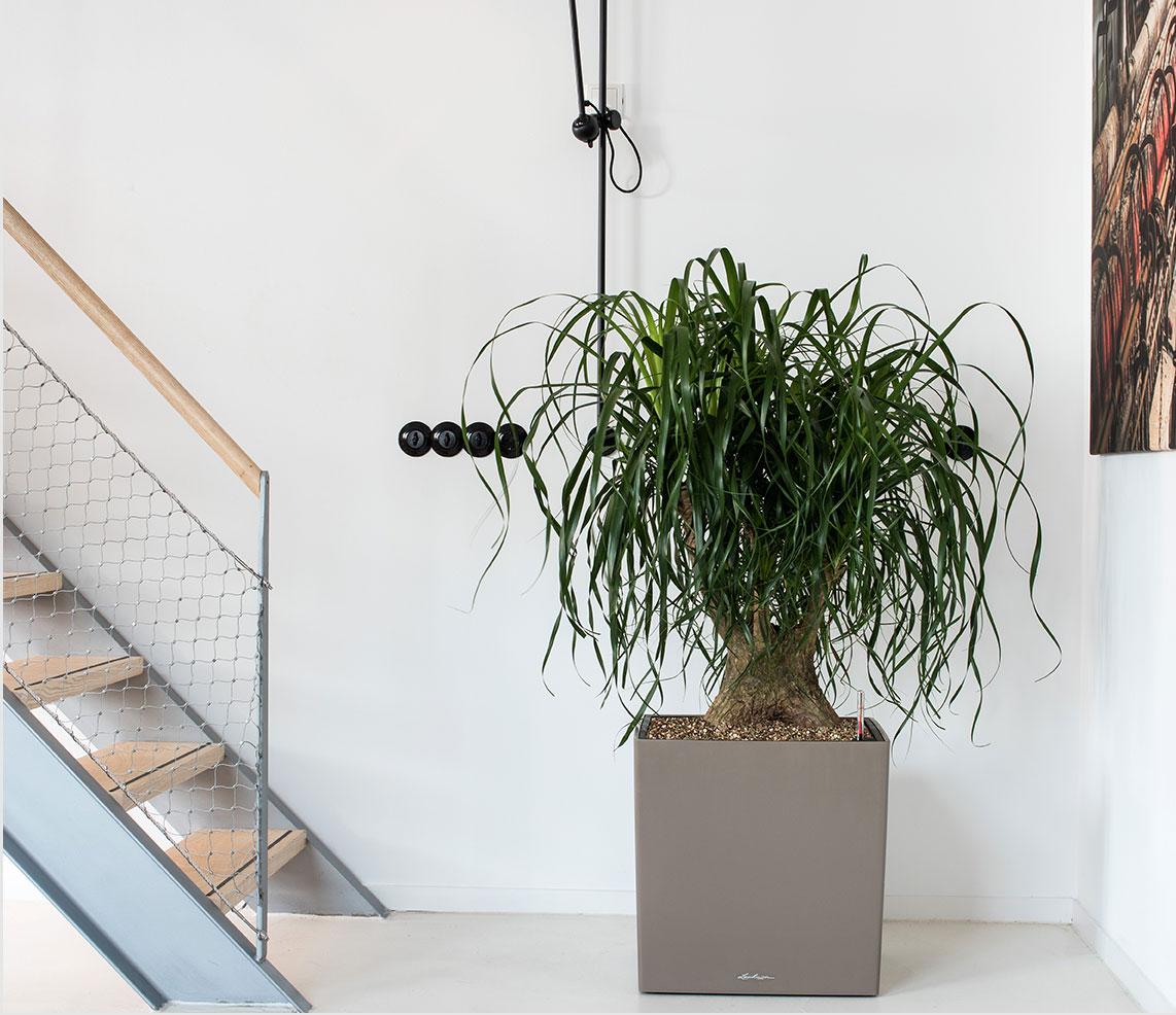 CUBE Premium в сером цвете стоит перед современной лестницей из стального струнного картона.