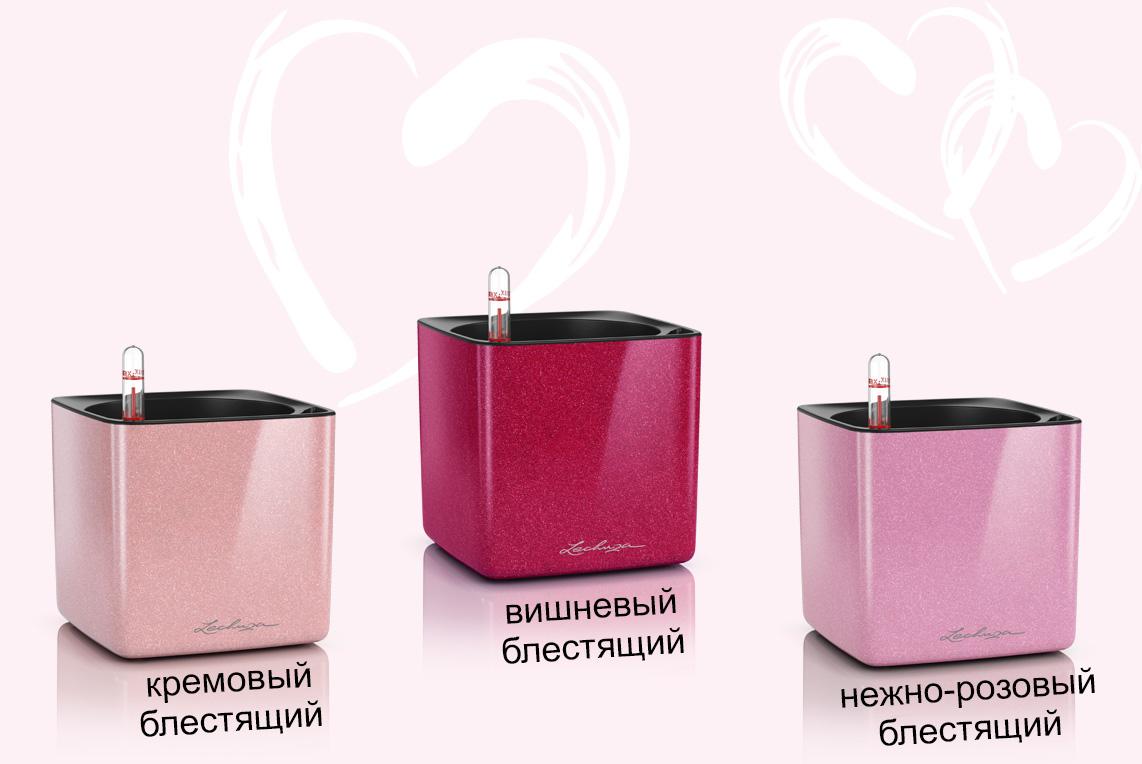 Glossy Kiss Collection