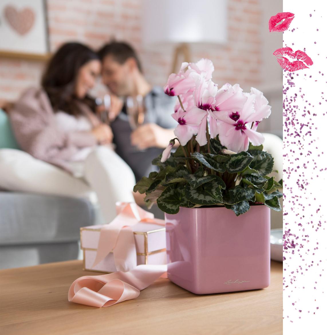 le_tw-gift-ideas_valentine_2