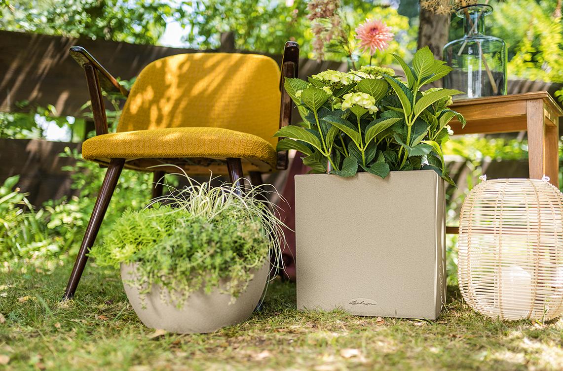 Arrangement mit CUBETO und CANTO Stone