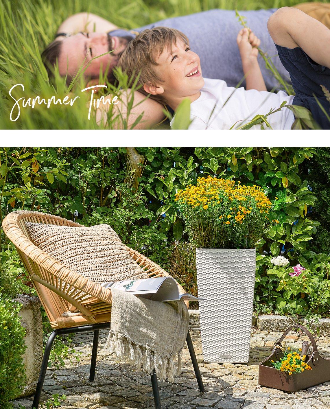 CUBICO Cottage 40 mit Schwefelcosmee