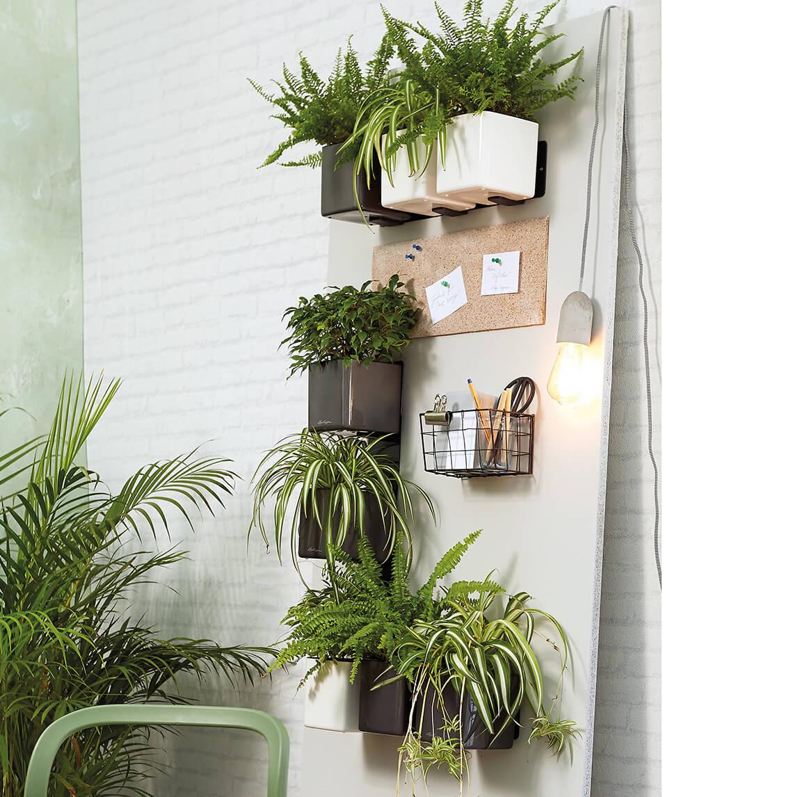 An einer Wand hängen mehrere Green Wall Kits zusammen mit Stiftehalter und Pinnwand