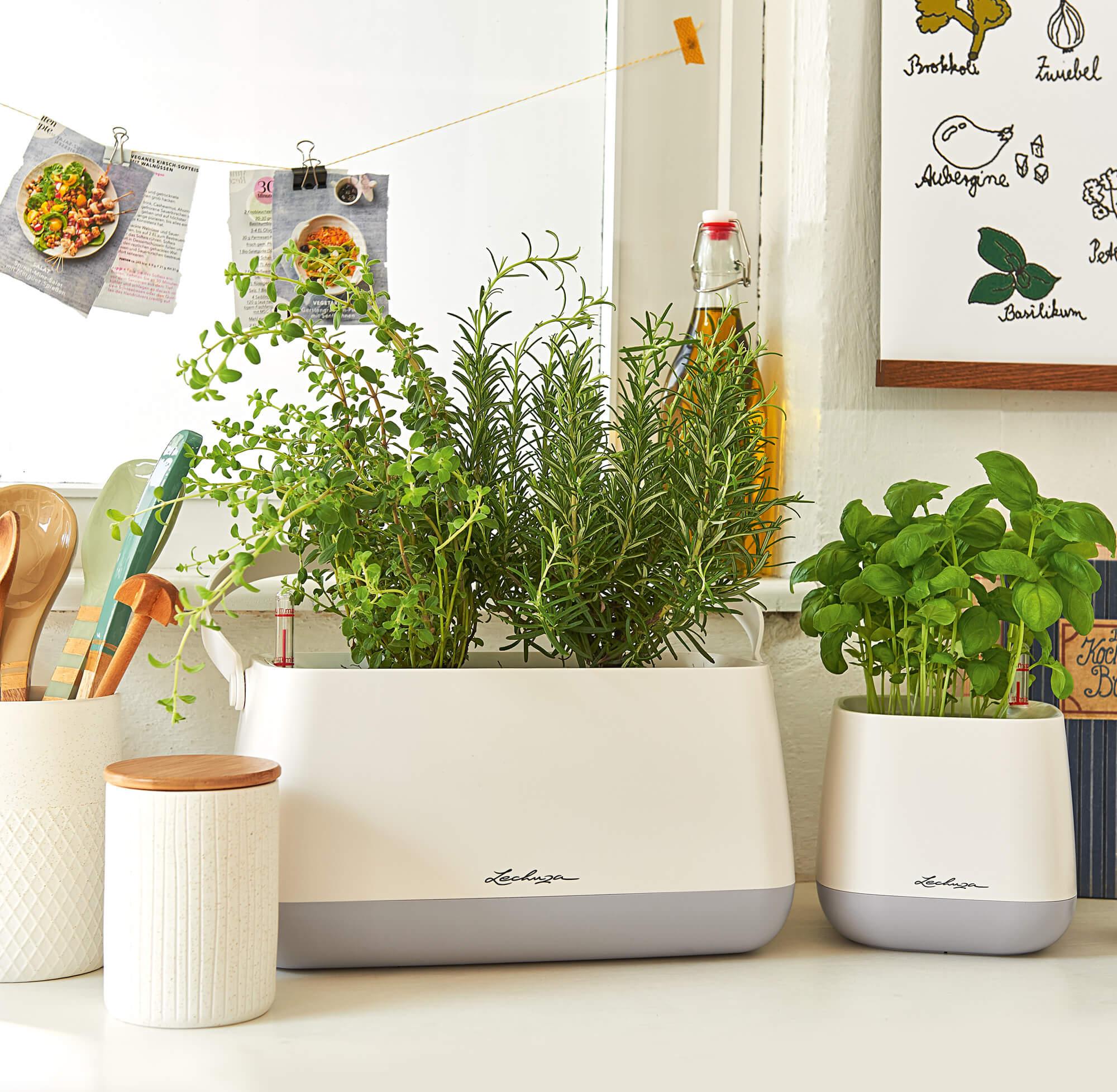 YULA Collection Stylish herb planters for the kitchen
