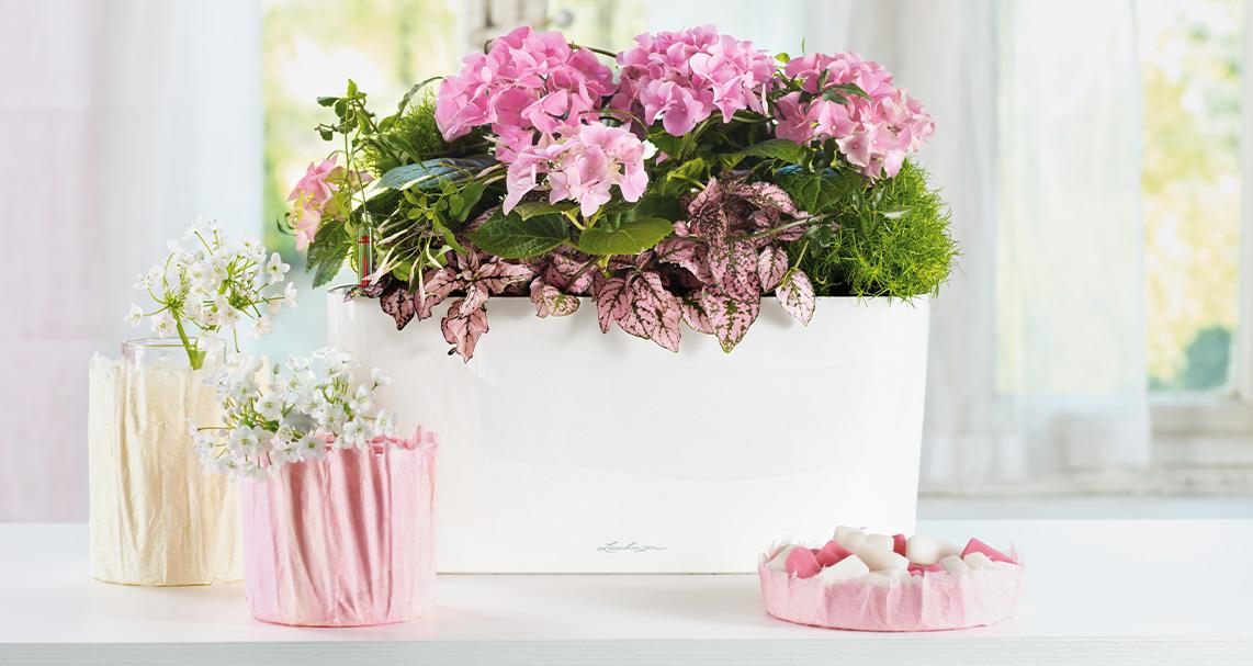 DELTA 20 wei&szlig; hochglanz