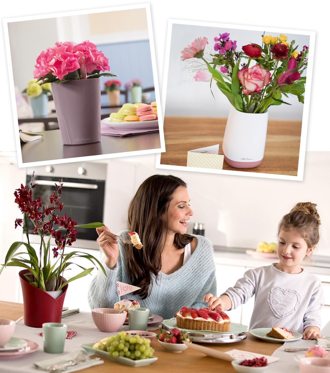 ORCHIDEA scarlet red