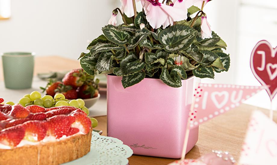 Lovely ideas for Mother’s Day