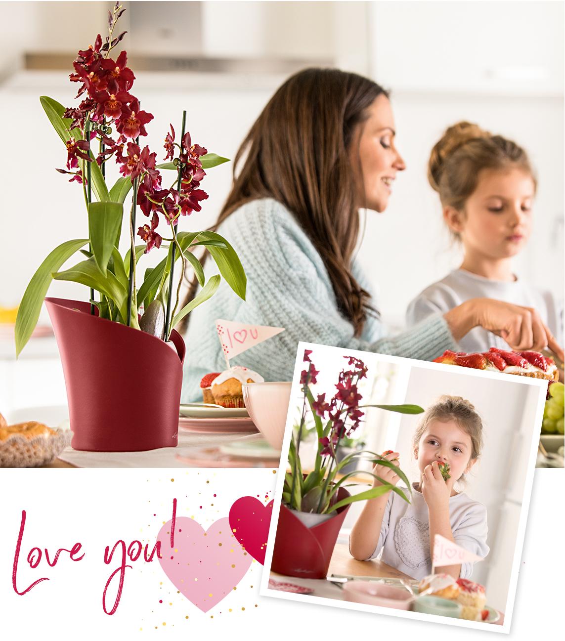 ORCHIDEA scarlet red