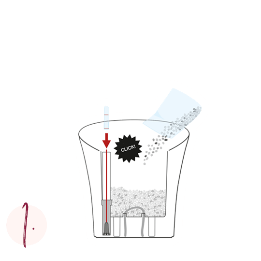 Repotting orchids Step-by-step guide Step 1