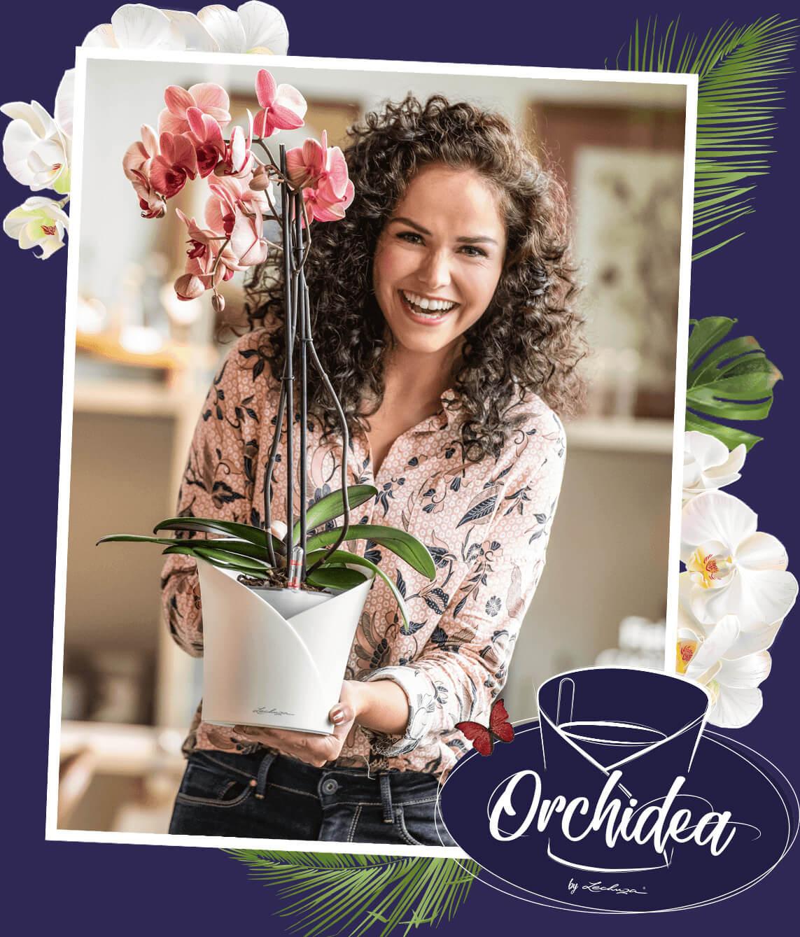 le_tw-orchideen_orchidea ORCHIDEA The all-in-one pot for orchids