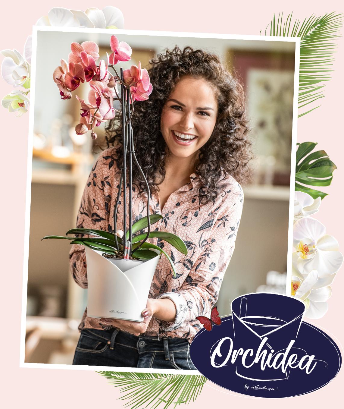 ORCHIDEA Le pot pour orchidées tout-en-un