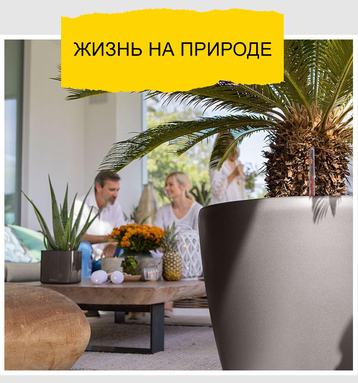 'На переднем плане стоит большой LECHUZA CLASSICO Premium цвета антрацит с пальмой. На заднем плане - красиво украшенный журнальный столик