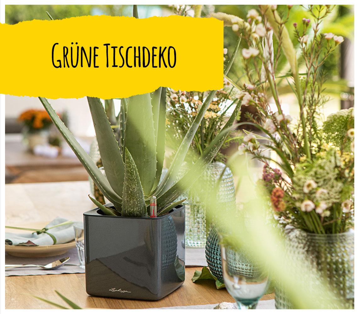 'LECHUZA CUBE Glossy in anthrazit