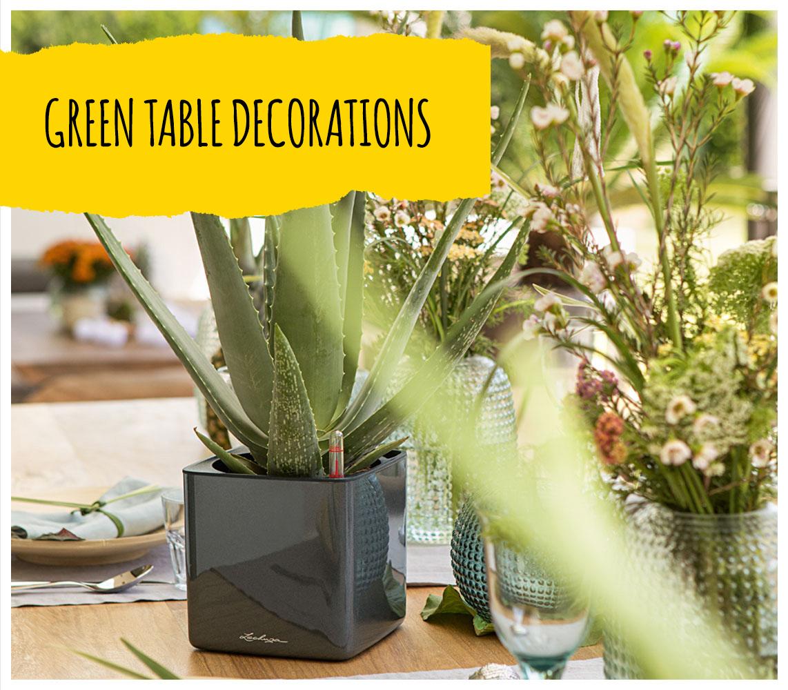 'LECHUZA CUBE Glossy in anthracite