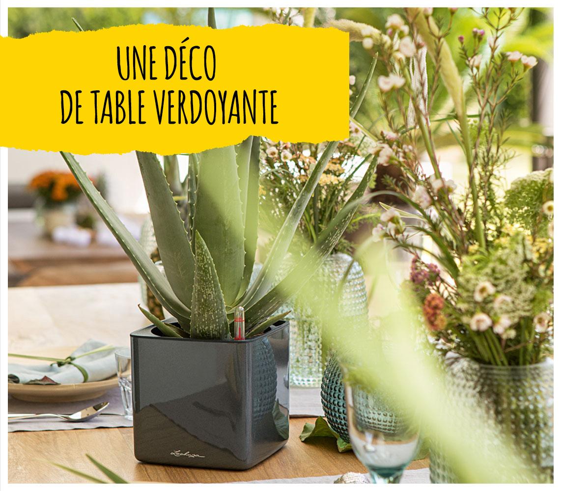 'Le LECHUZA CUBE Glossy en anthracite