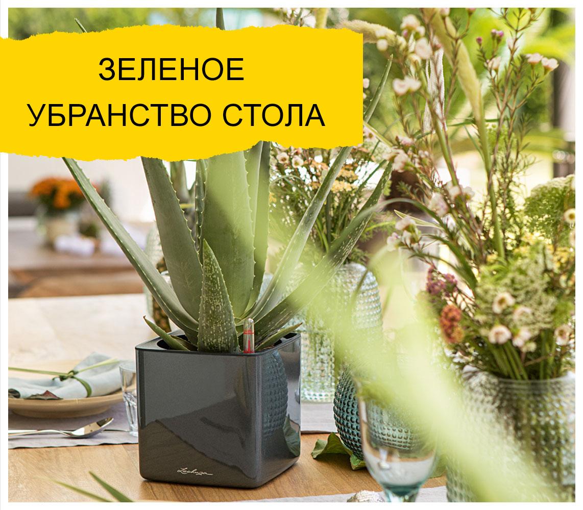 LECHUZA CUBE Glossy цвета антрацит с алоэ вера стоит на красиво накрытом столе.