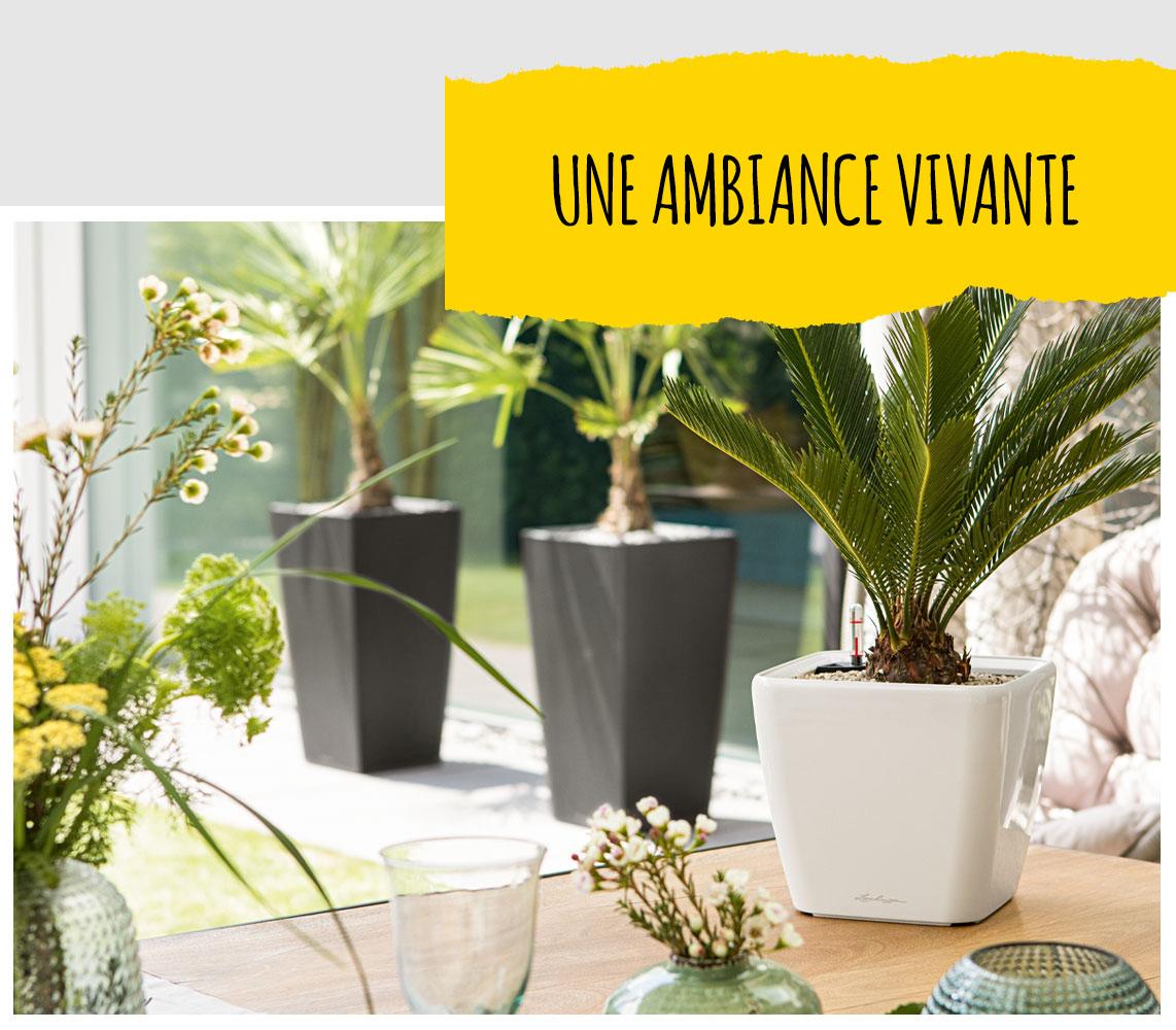 'Le Quadro LS de LECHUZA en couleur blanche