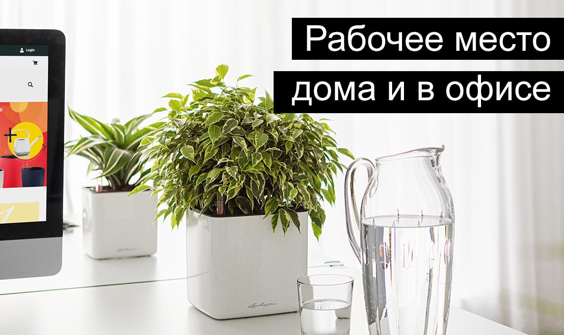 LECHUZA CUBE Glossy 16 Белый блестящий